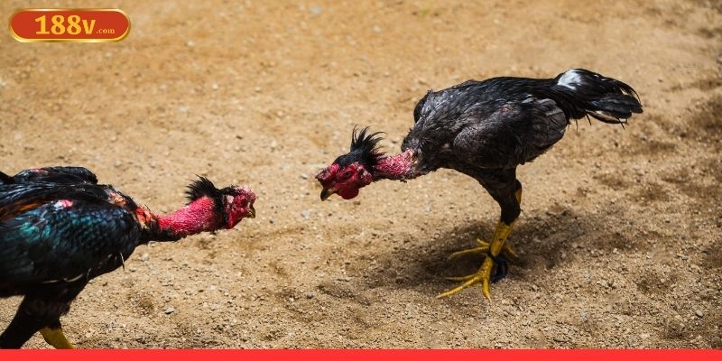 Lý do nên lên kế hoạch tài chính khi cá cược cẩn thận